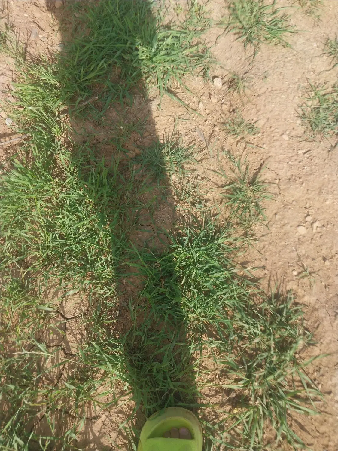 ۲۰۴ متر زمین در افلاک ۴