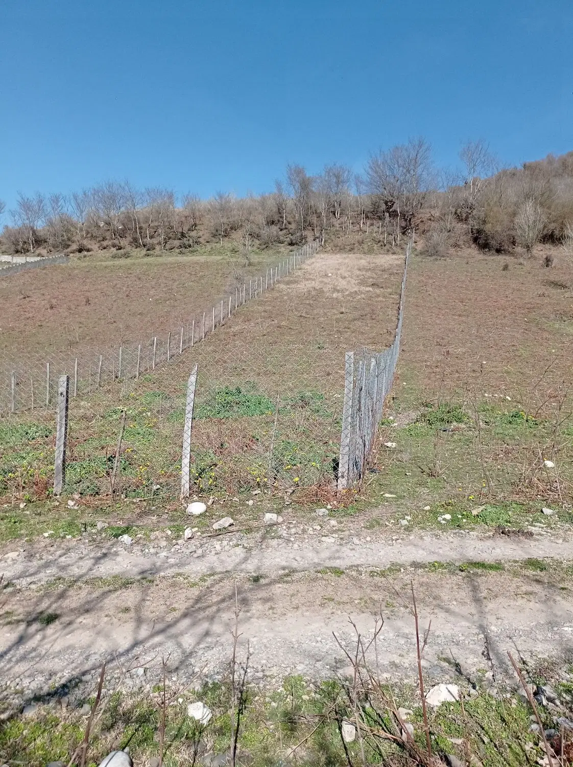 فروش زمین واقع در مازندران زیراب روستای اتو