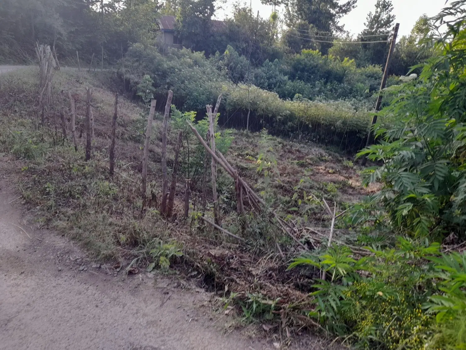 فروش زمین داخل طرح هادی
