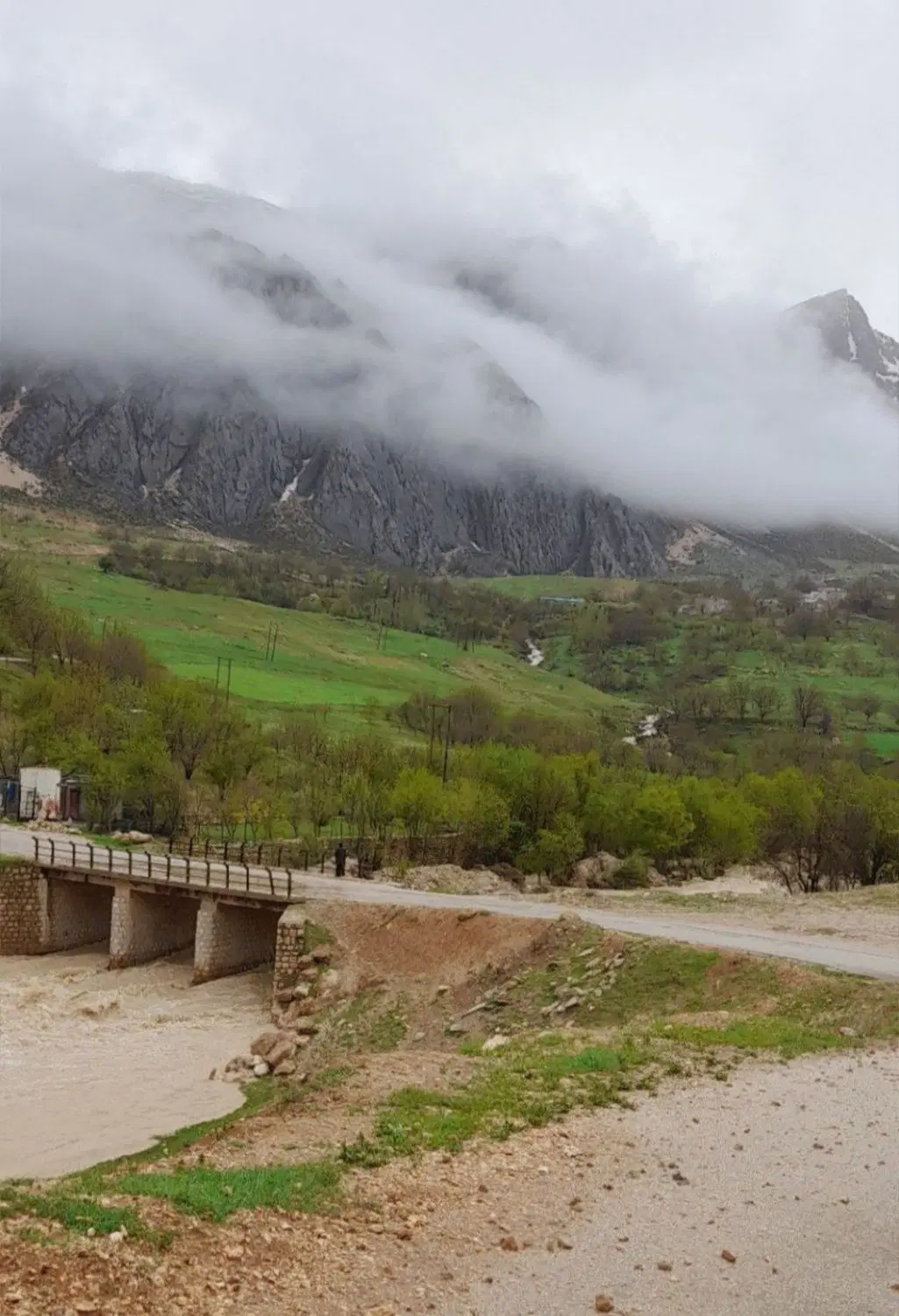 زمین صمصامی