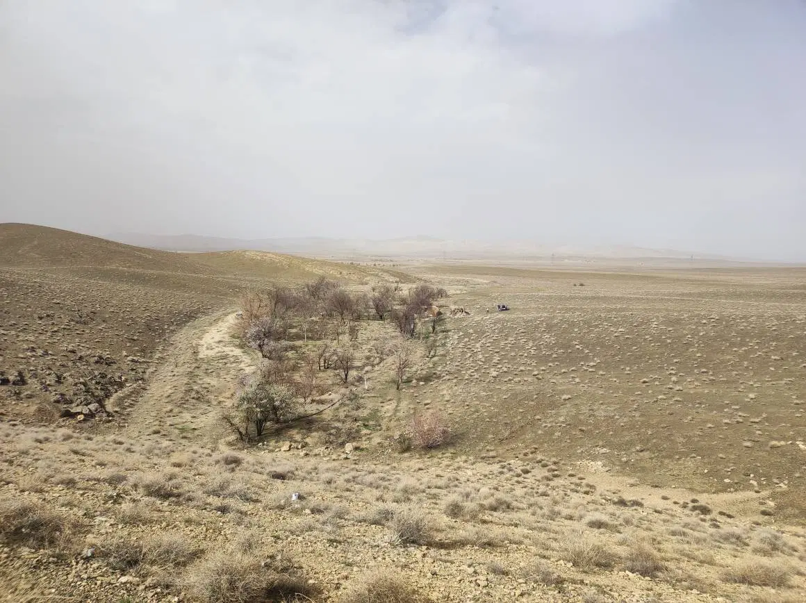 یک مزرعه در روستای تجره به فروش میرسد
