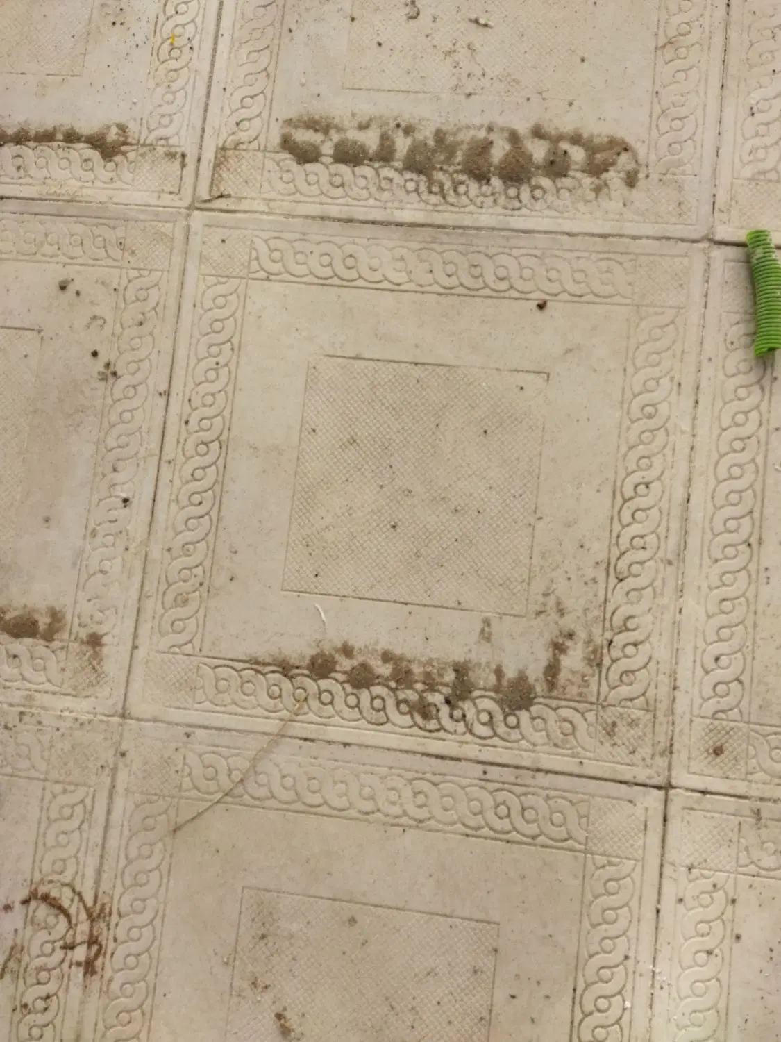 خانه اجاره ای حاجی آباد
