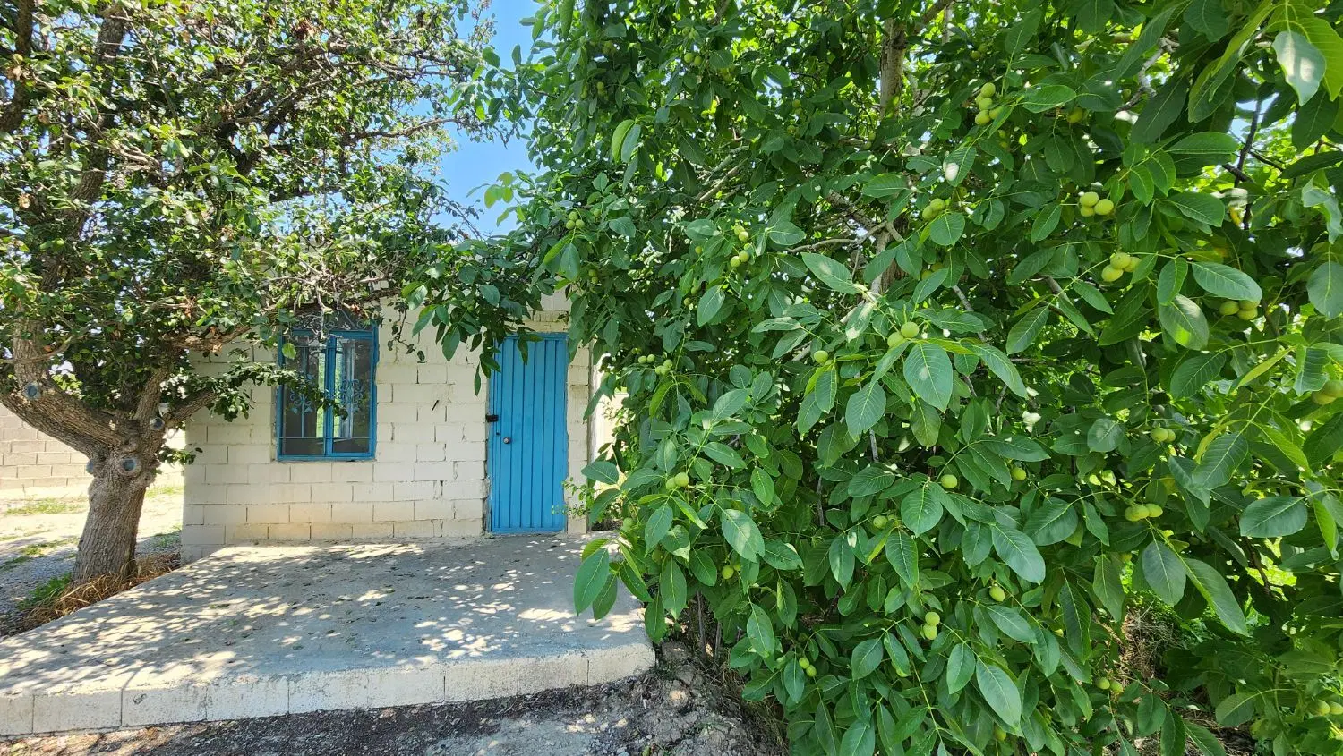 باغ و باغچه الوان مناسب  (املاک صولتی)