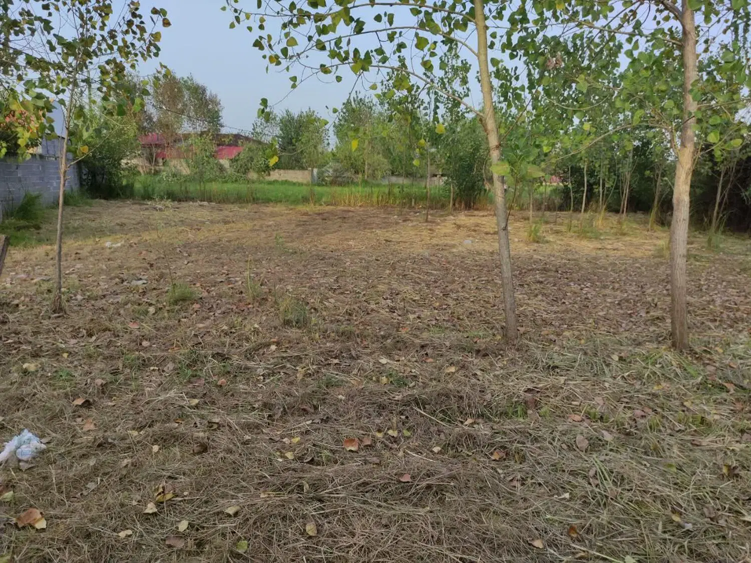دوقطعه زمین ۳۴۰ متری در ویشکا ماتر