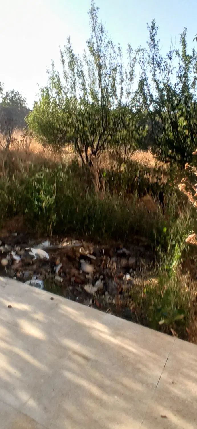 گلپاشین جاده امامزاده کوی بنفشه کوی رسا