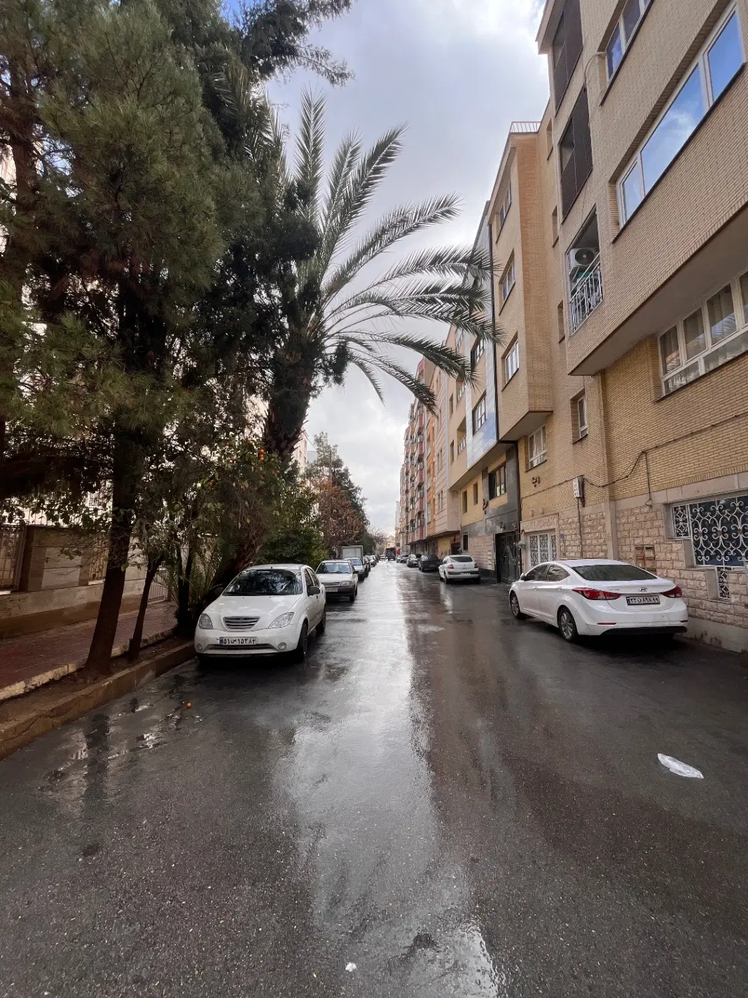 آپارتمان باهنر شمالی تاپ