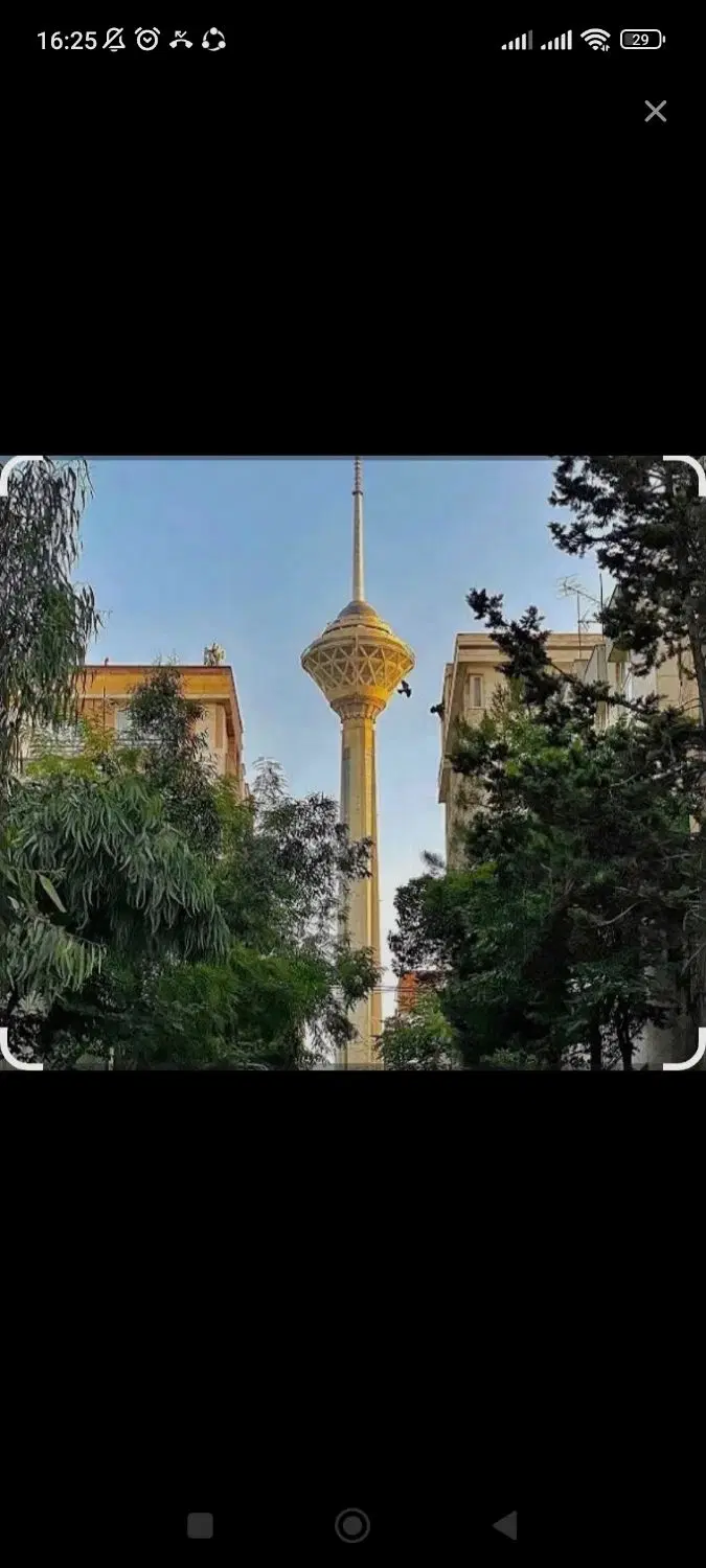 مغازه _براصلی _قلب گیشا _مناسب تمامی برندها