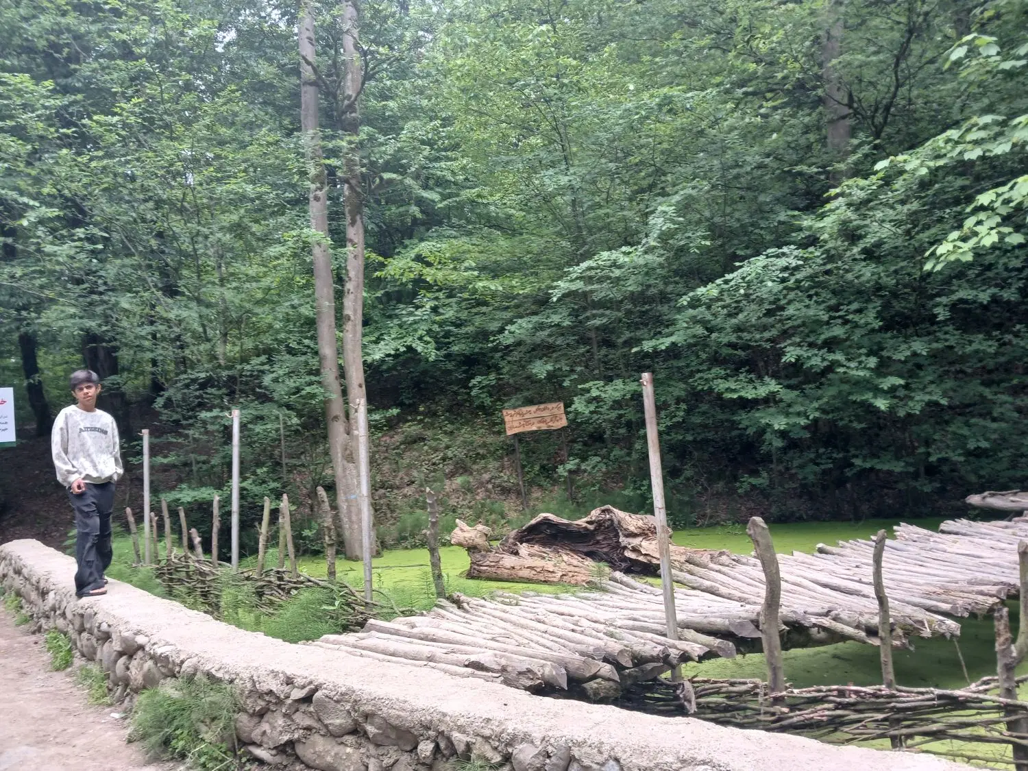 زمین کشاورزی در حال کشت