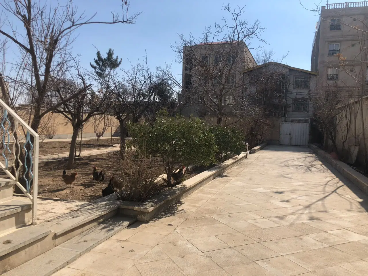 1000 متر میدان گلها