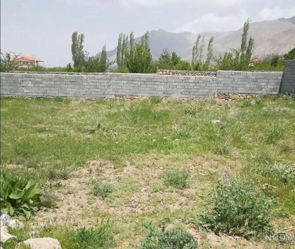 زمین