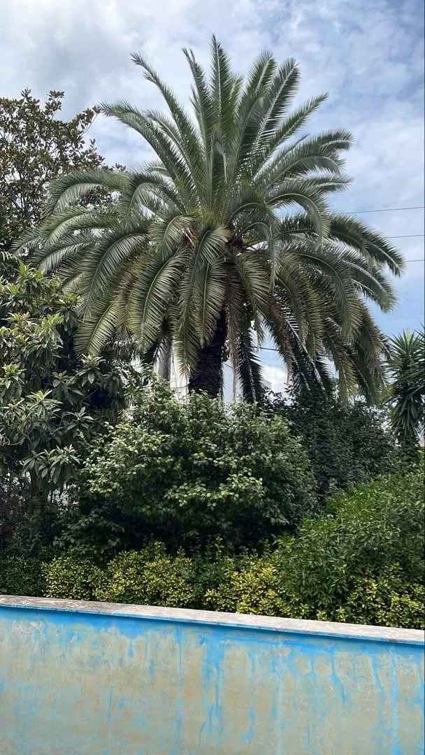 باغ ویلا،چابکسر