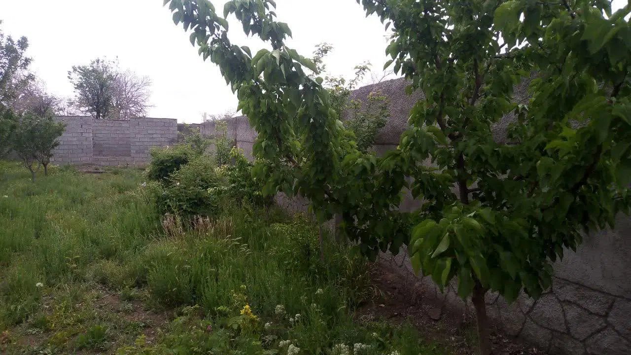 فروش زمین دور دیوار در روستای جهانکوب