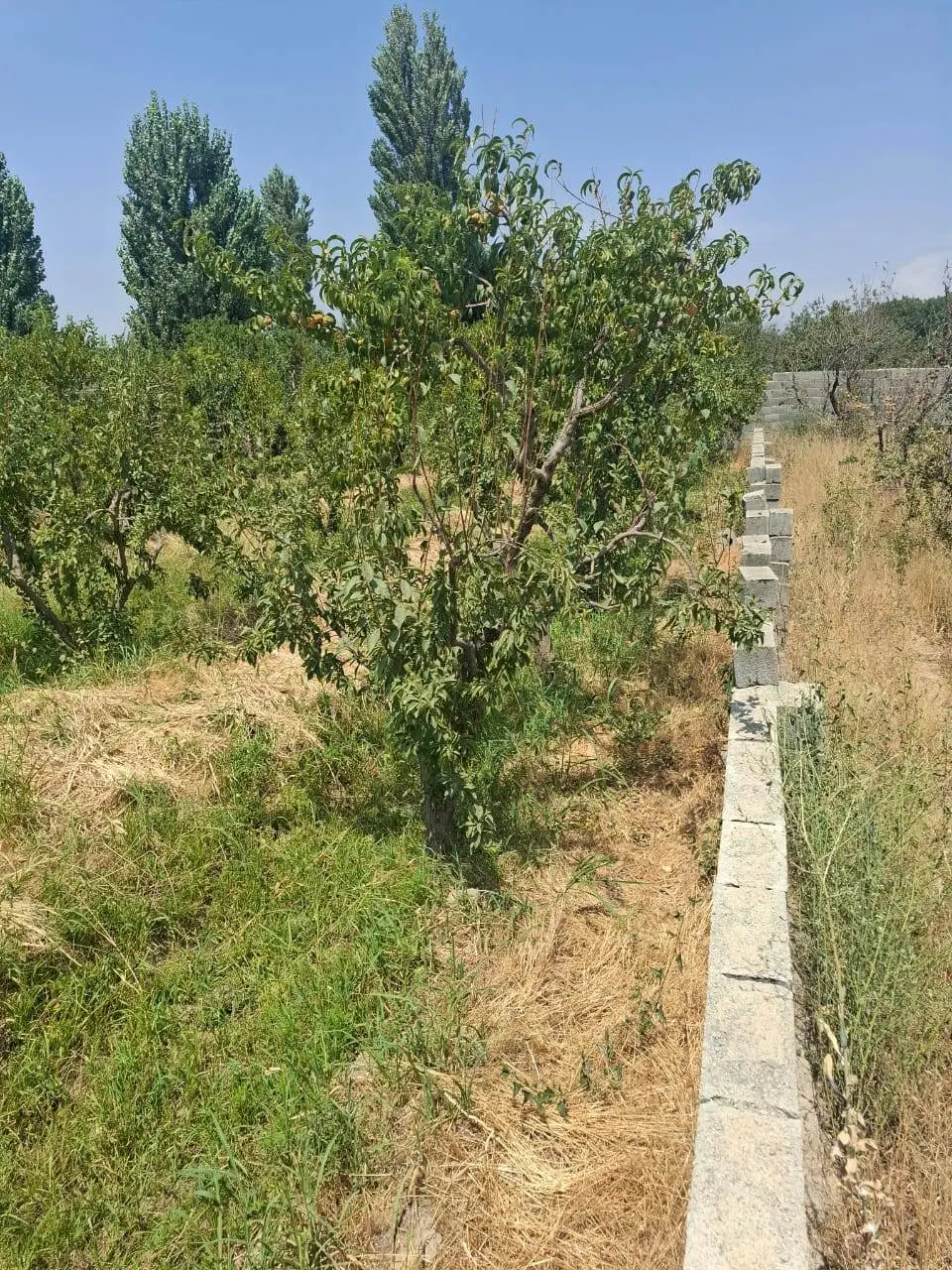 فروش زمین و باغ ویلایی