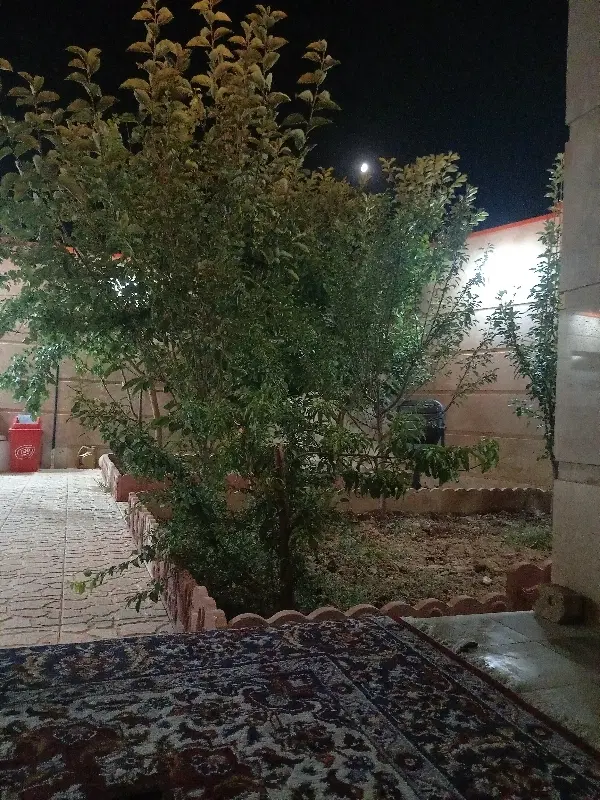 باغ ویلایی