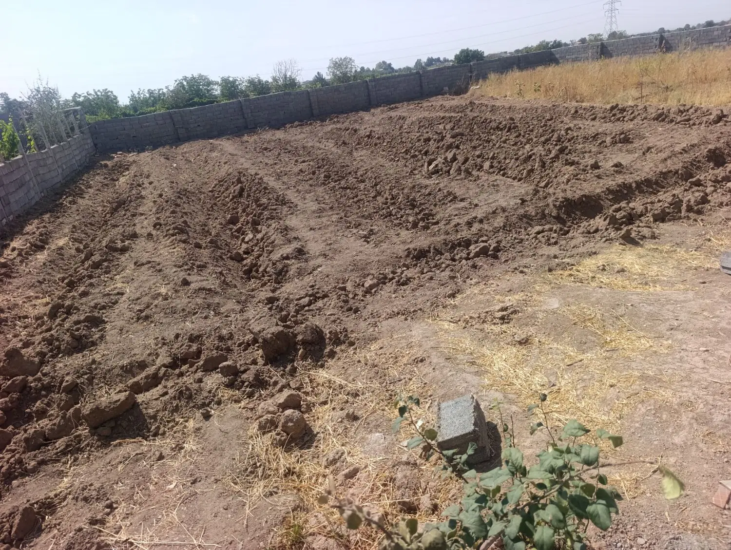 زمین دور دیواربلامانع جهاد