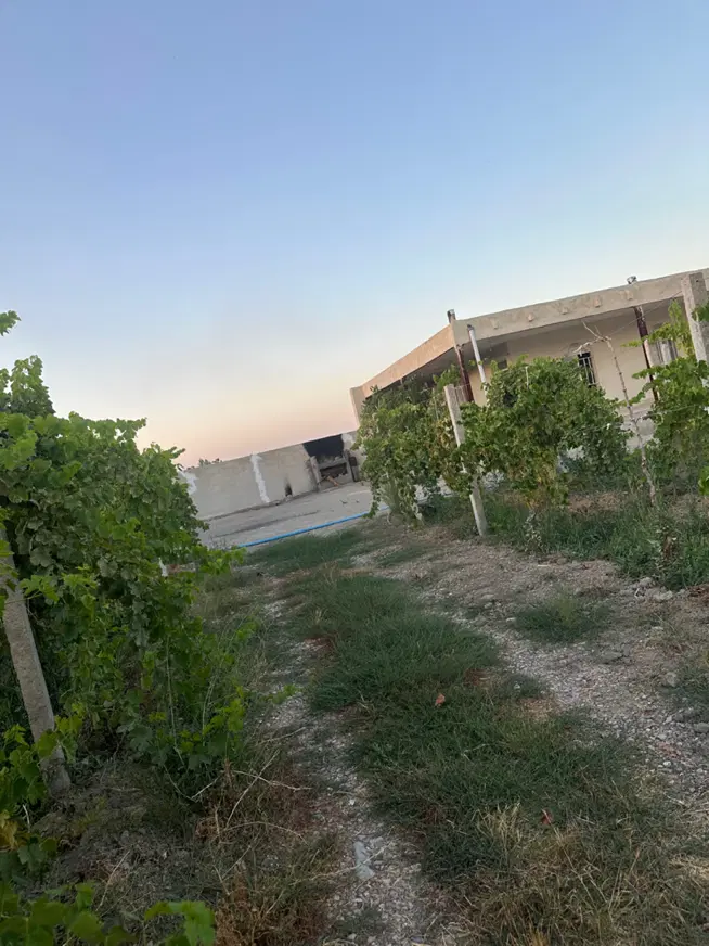 باغچه۲۰۰۰متری اب شرب برق گازدرختان بارده سند تکبرگ