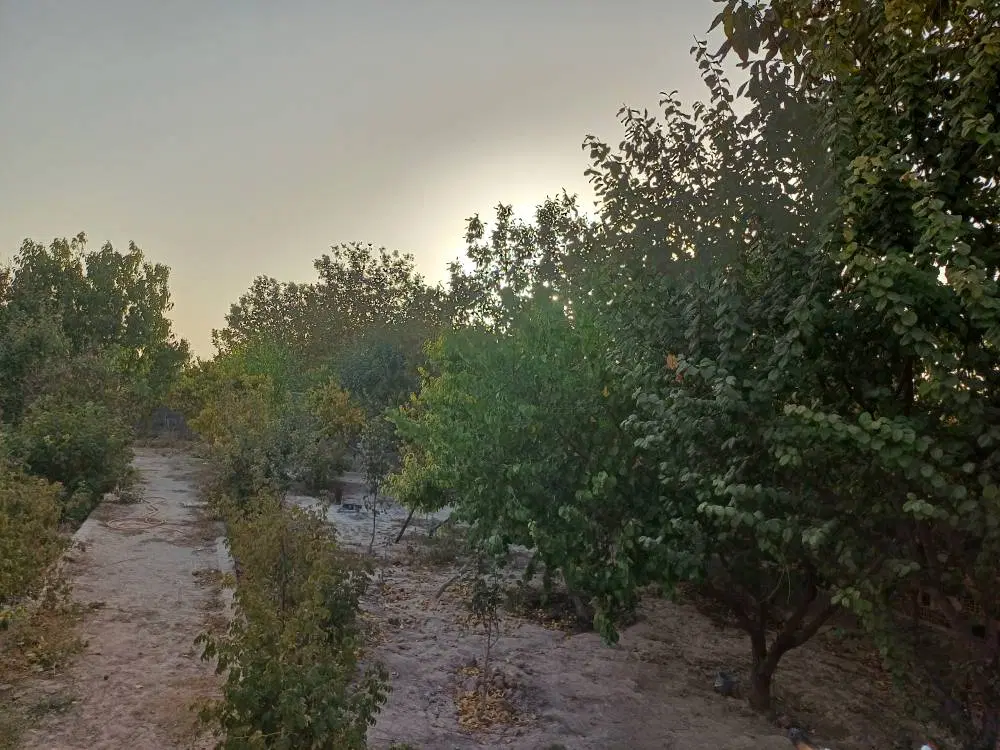 باغ ویلافروشی