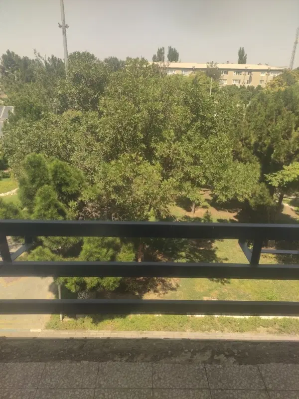 زمین جاده مایان کوی شریفی دارای مجوز حصارکشی