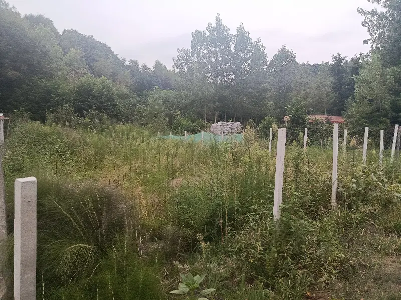 ۲۶۰ متر زمین داخل طرح هادی