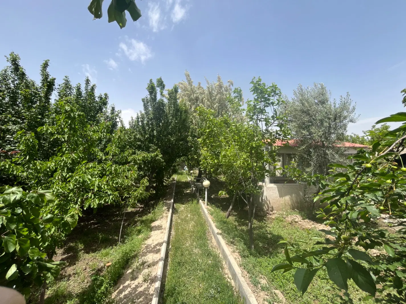 باغ ویلا