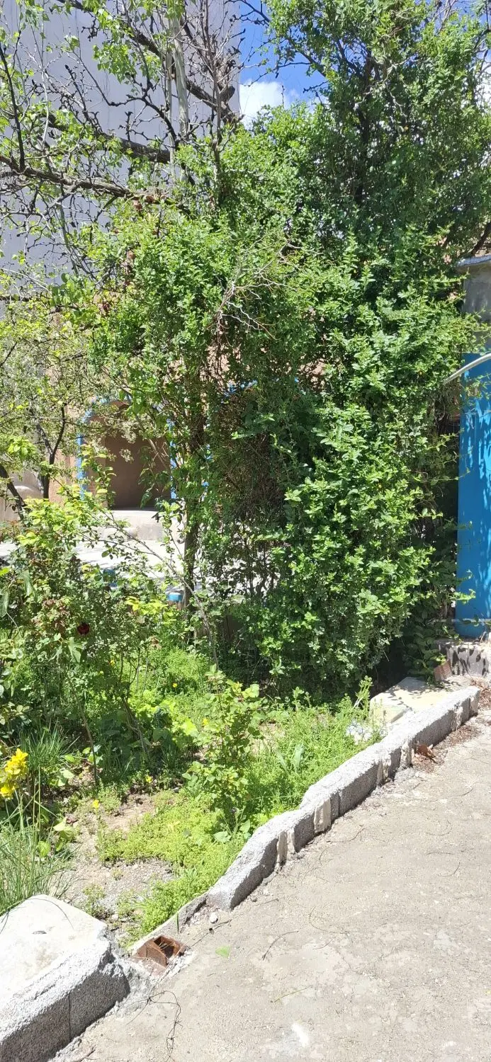 آپارتمان ۲۰۰ متری اجاره ای