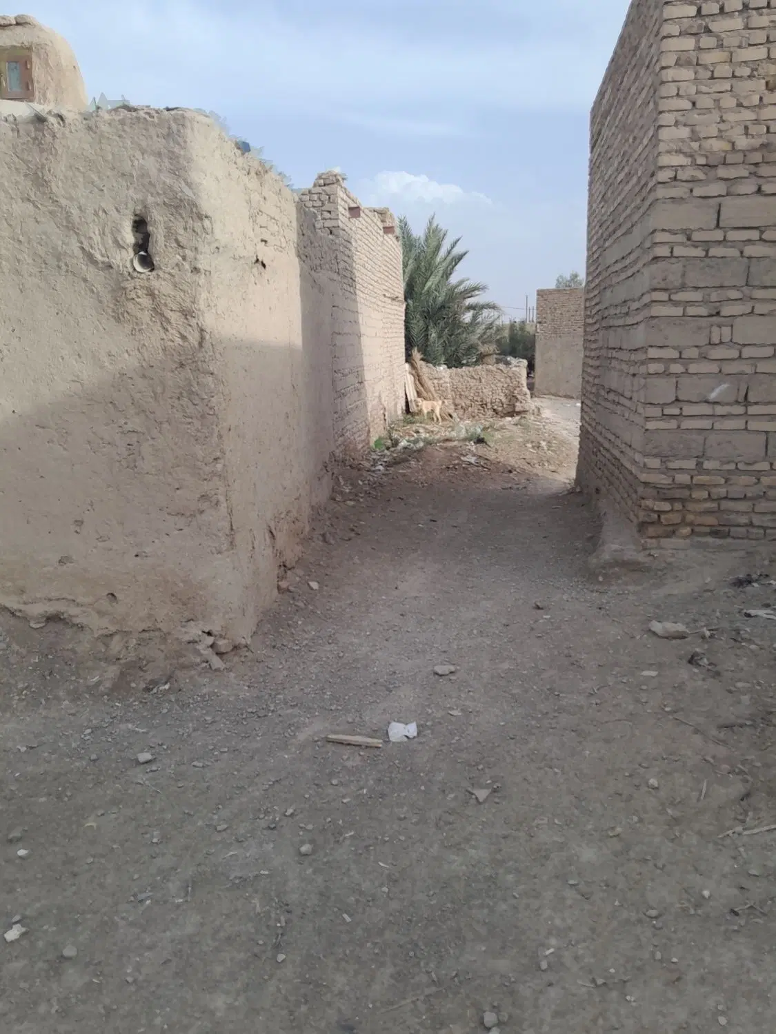 زمین