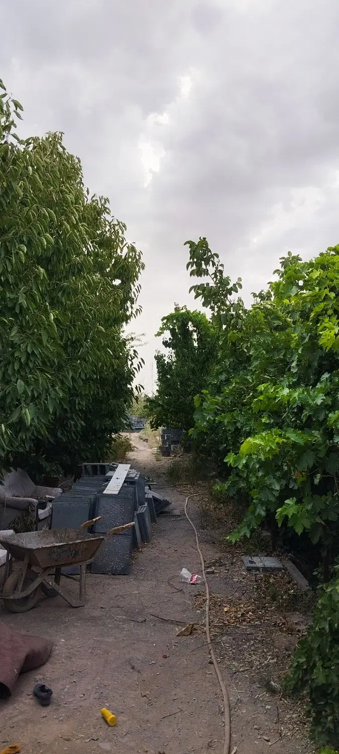 باغ ویلایی