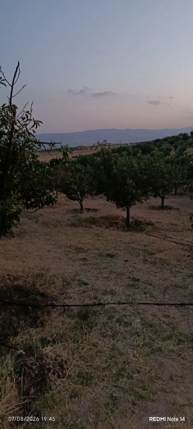 باغ در پسته بیگ