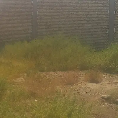 زمین دوکله با شفته و پروانه آهنفروشان