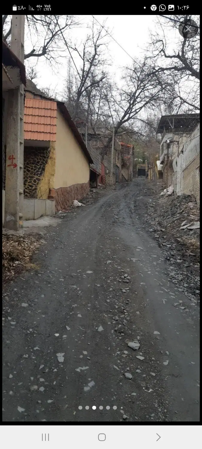 زشک۱۴ زمین باغی معاوزه