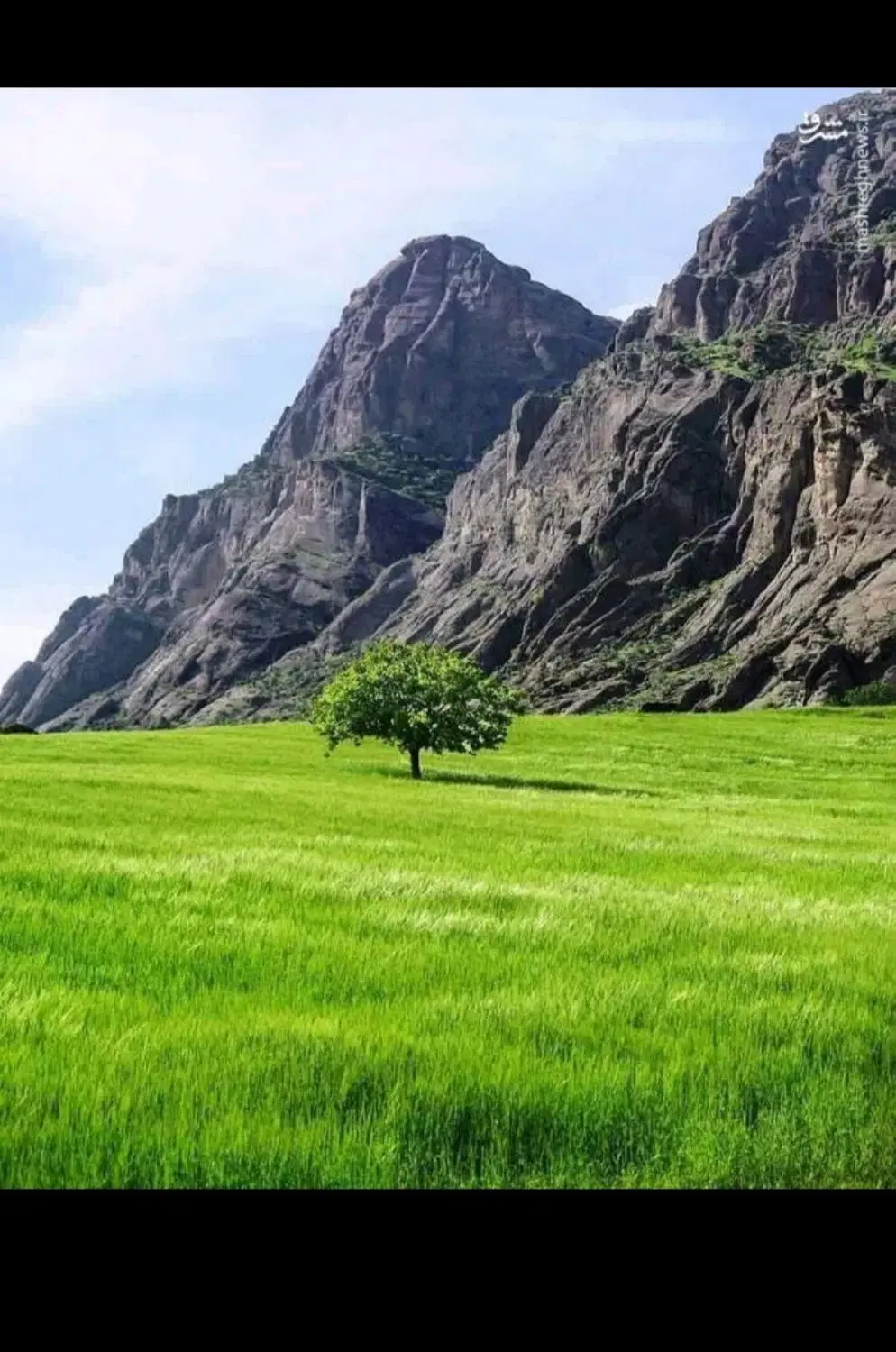 فروش فوری باغچه و باغ الوان