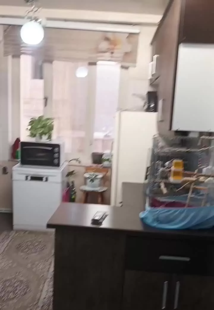 سجاد جنوبی_۶۱ متر_دوخواب_تکواحدی