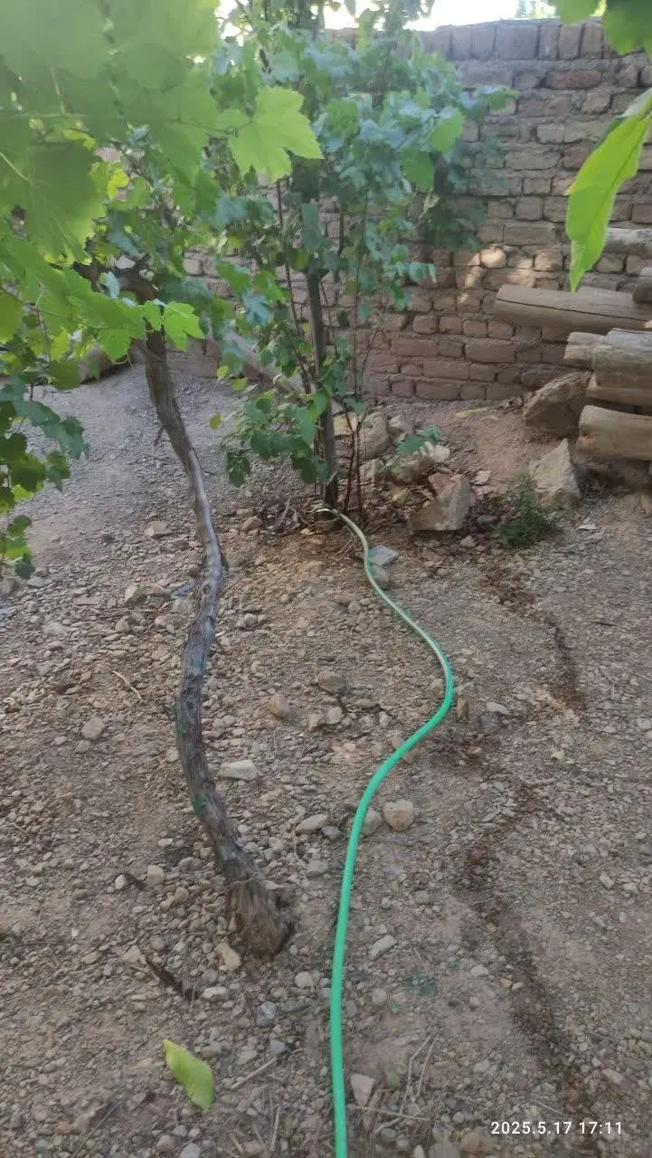 مناسب برای سرمایه‌گذاری و سکونت در شهر محلات