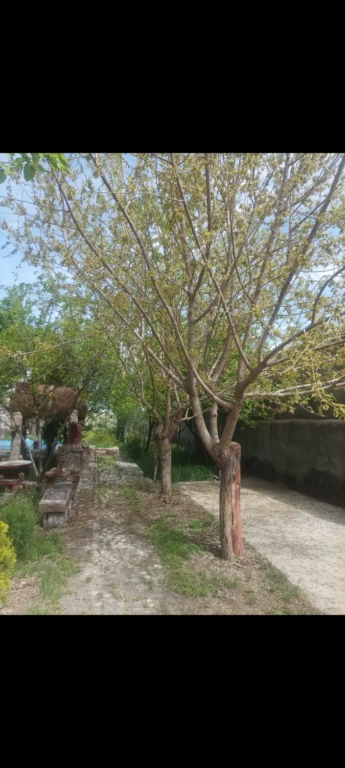 باغ حسن شهاب