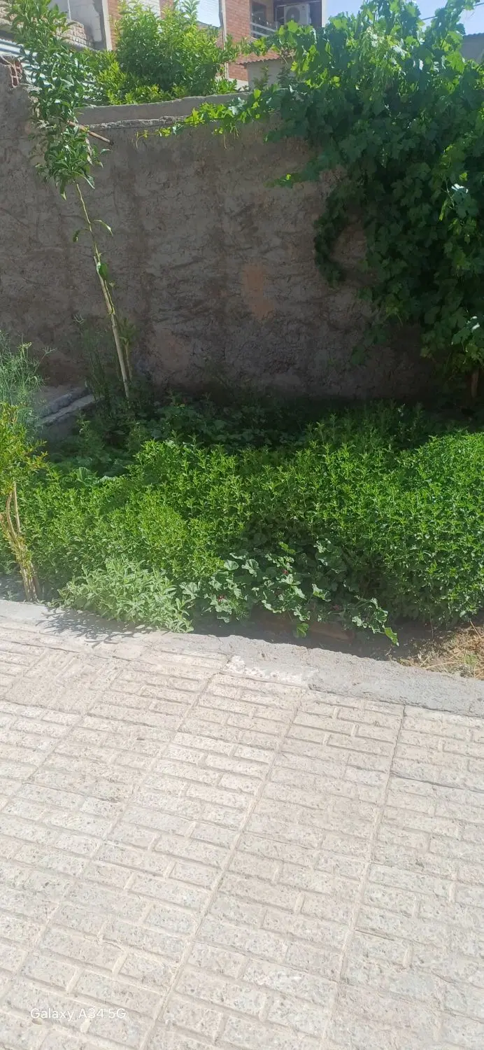 همکف پارادیس