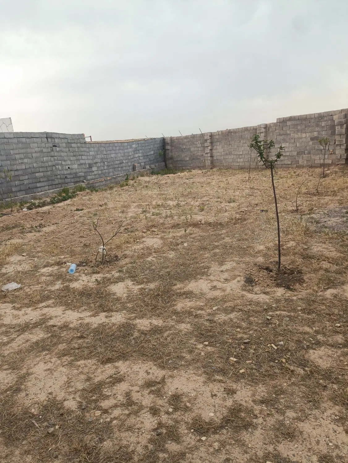 باغ ویلا فروشی روستای برقی
