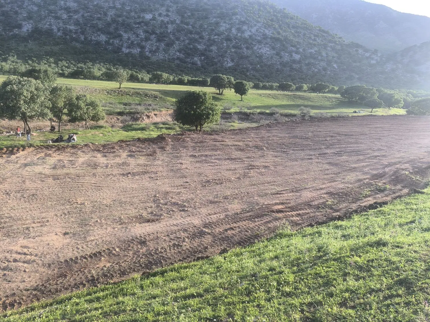 زمین باغ قطعات 1000متری قلعه سنگی باغ دایی