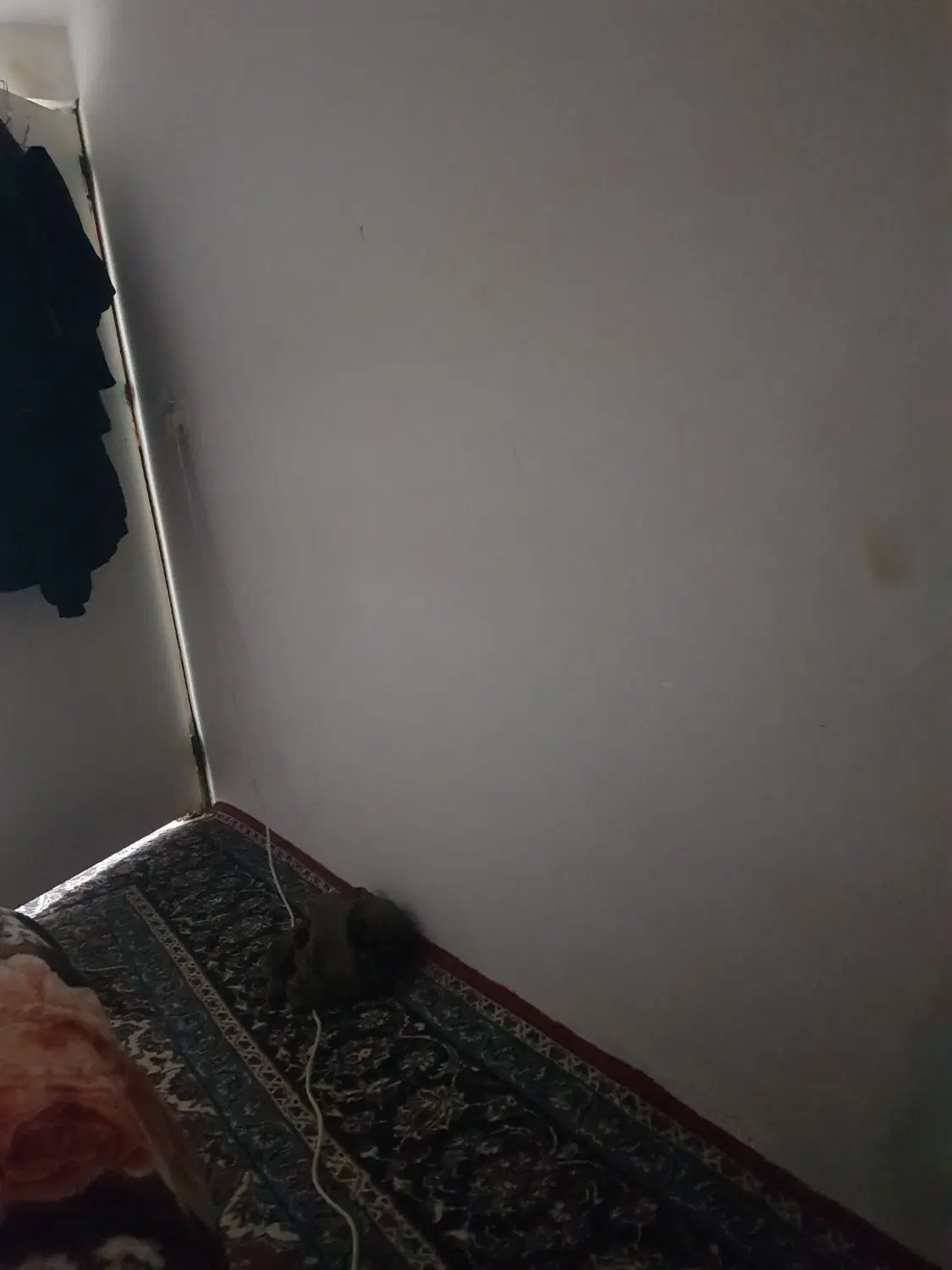 همخونه میشم