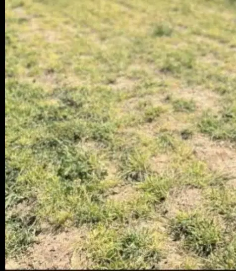 فروش ۶۶۰متر زمین همراه با سهمیه آب کشاورزی