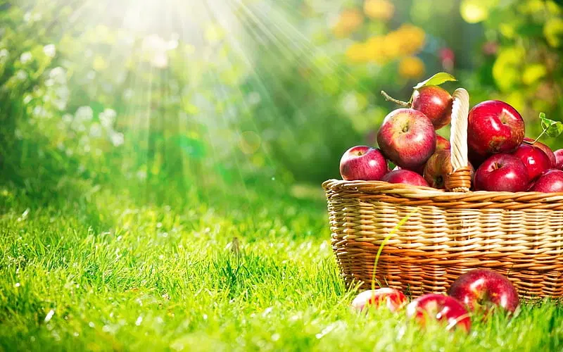 باغ ویلایی سه راه شهرصنعتی