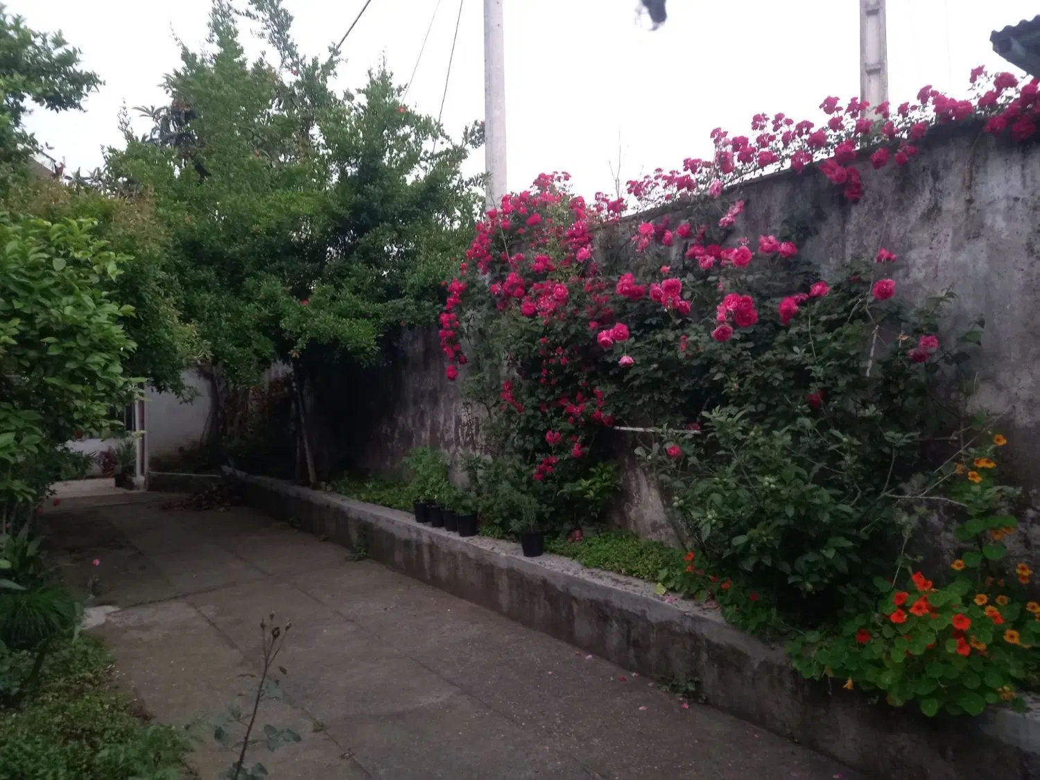 فرشته خانه ویلایی در لاهیجان