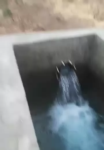 زمین با درخت گلابی قدیم آباد