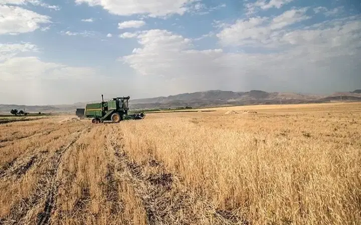 فروش زمین دیمی