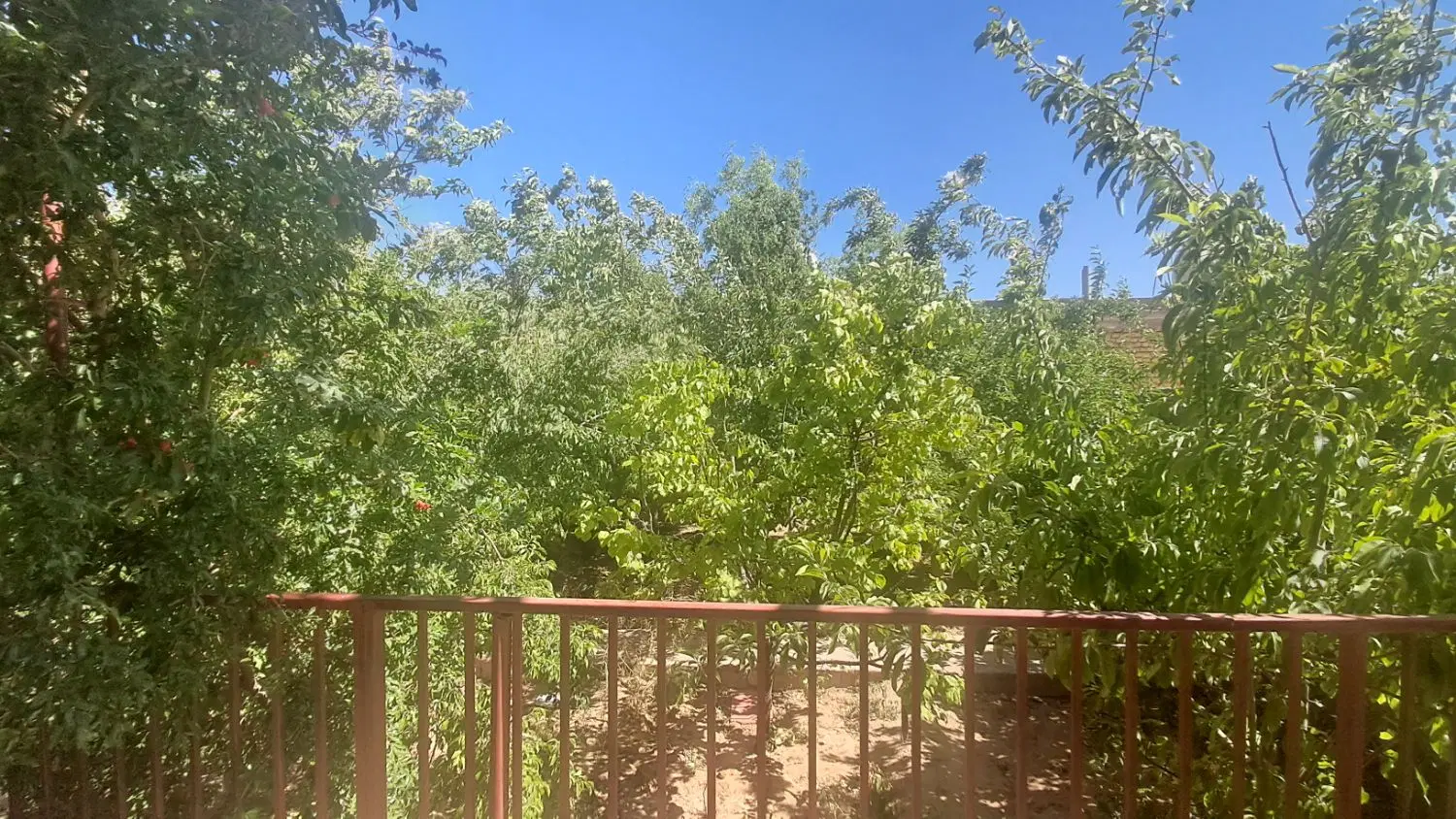 خانه باغ ۶۰۰ متری تنگ چنار