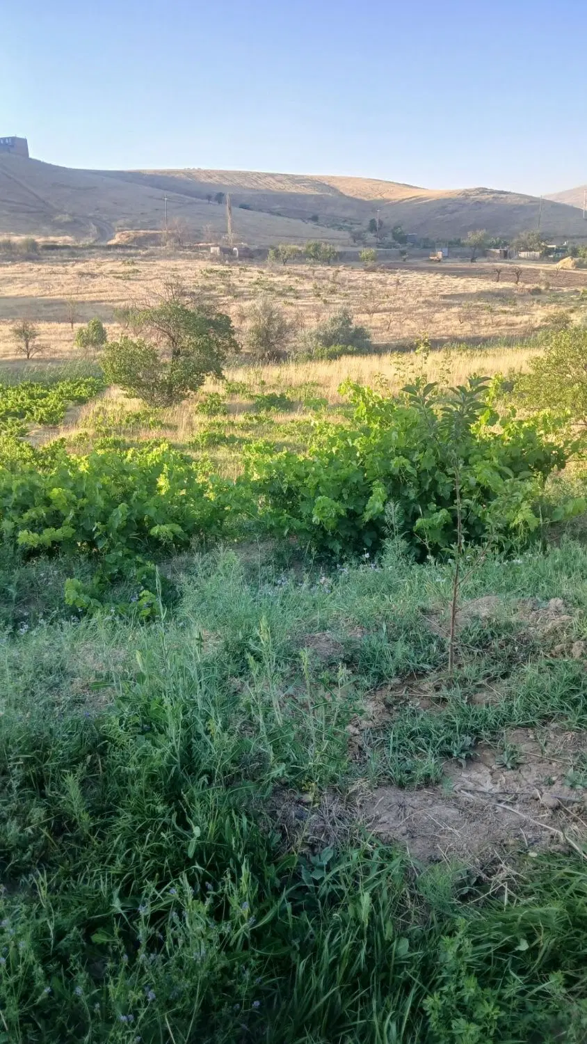 باغ واقع در سرخه دزج