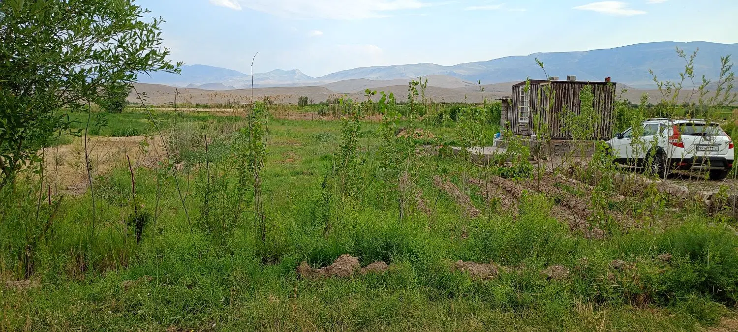 زمین کشاورزی