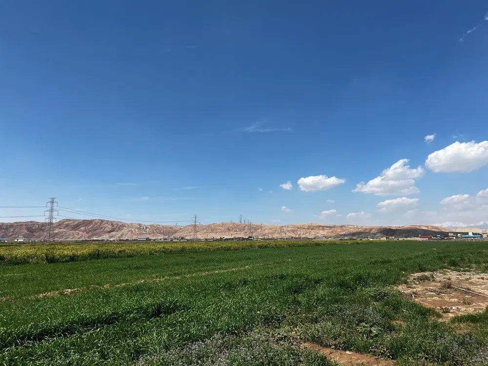 زمین پیشک سه