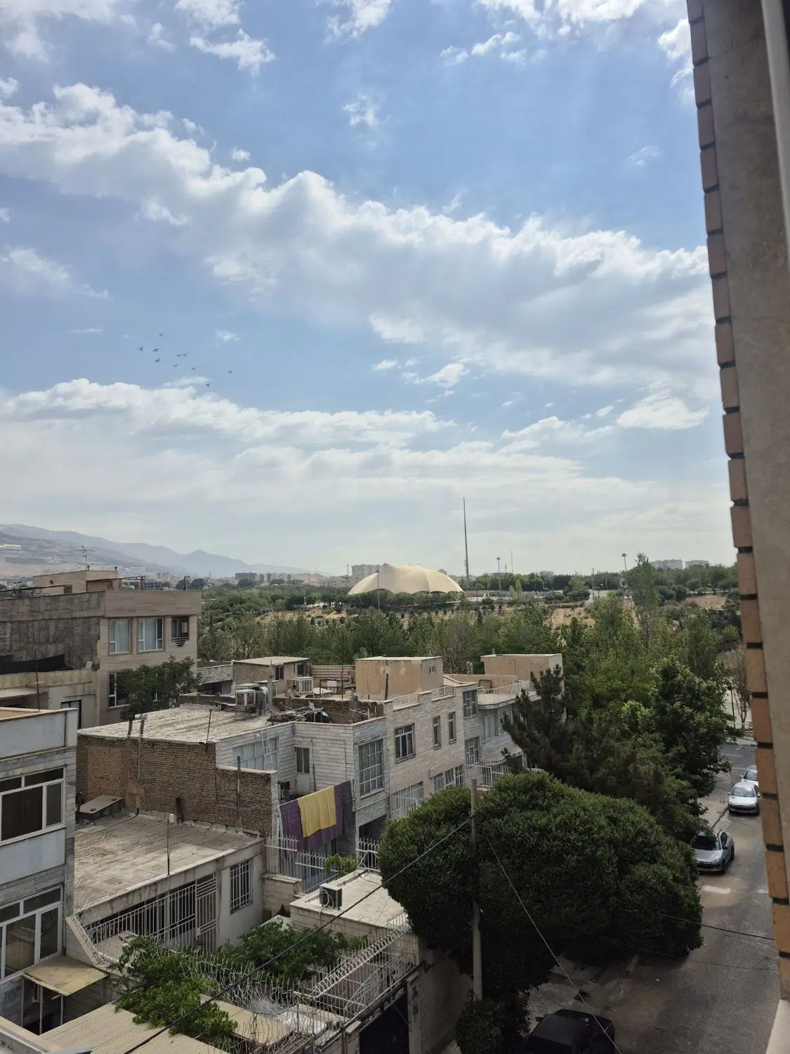 رهن