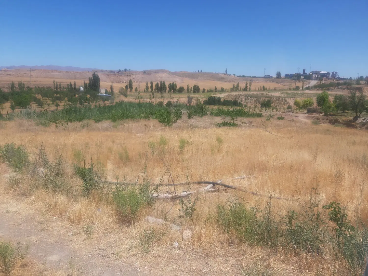 یک قطعه زمین کشاورزی باغ برای فروش