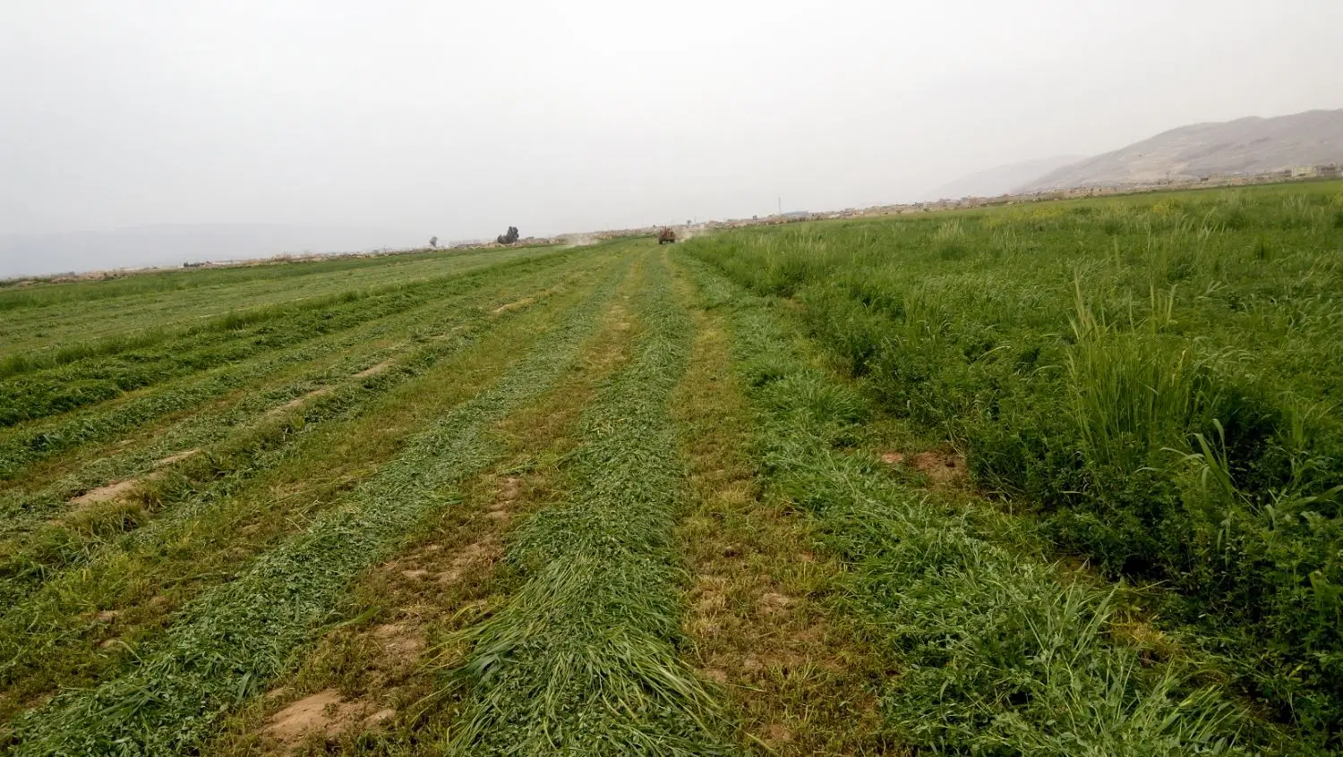زمین کفترک